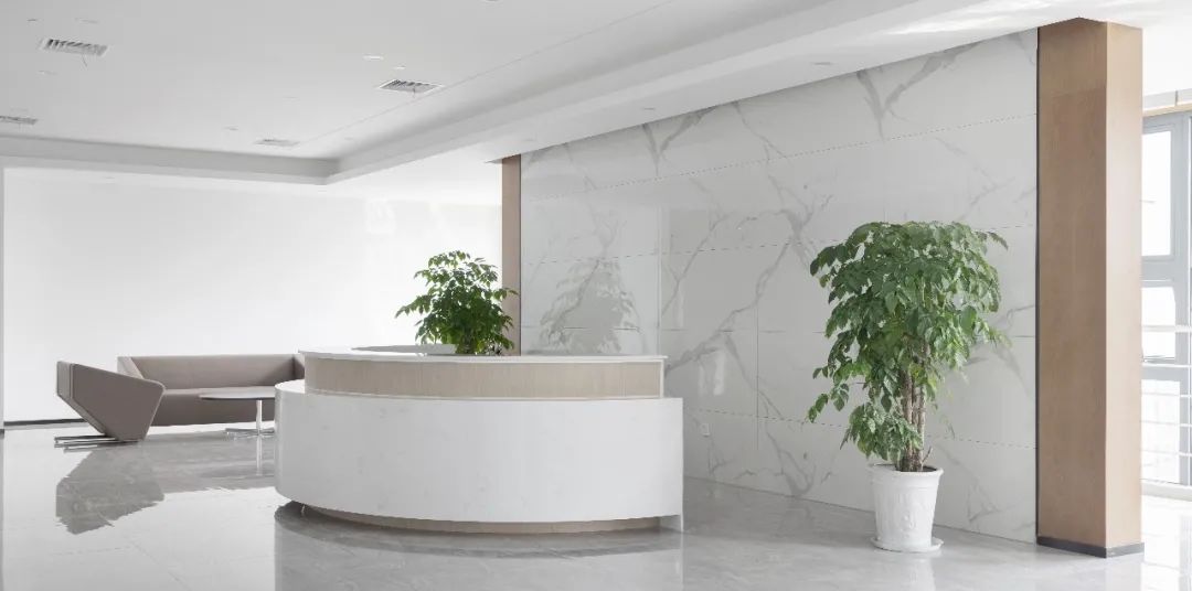 前臺-常州寫字樓裝修 前臺-常州寫字樓裝修
