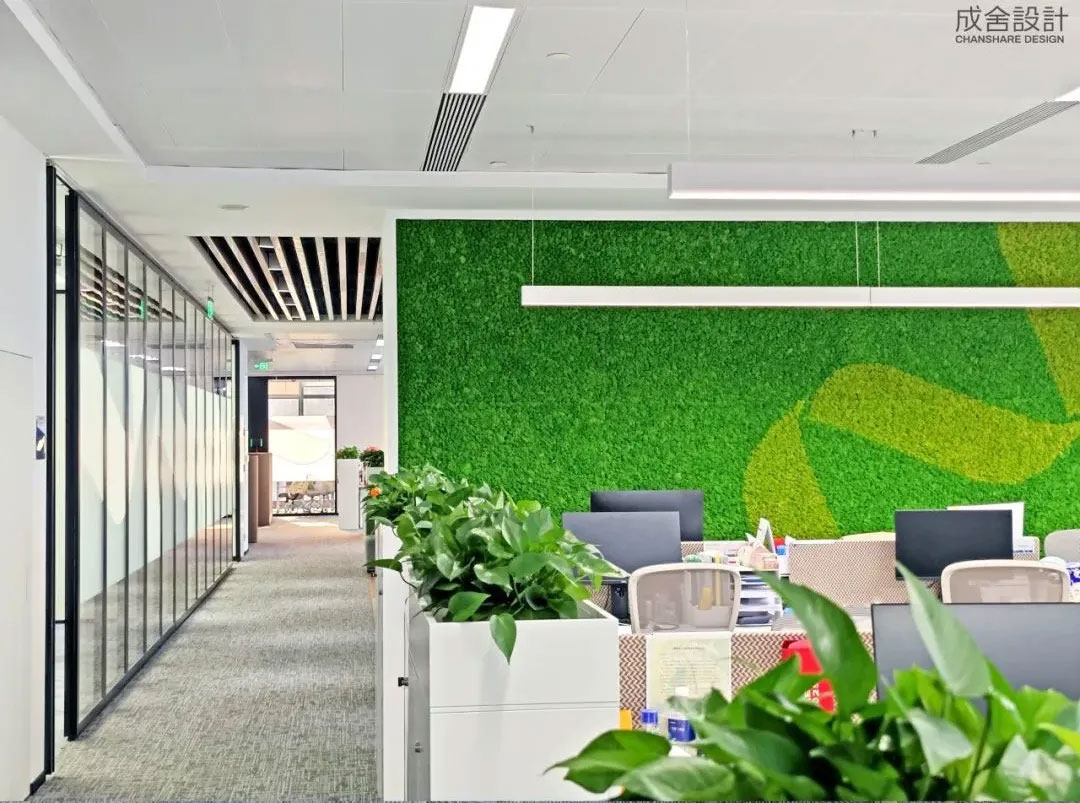 辦公綠化-常州品牌裝修公司