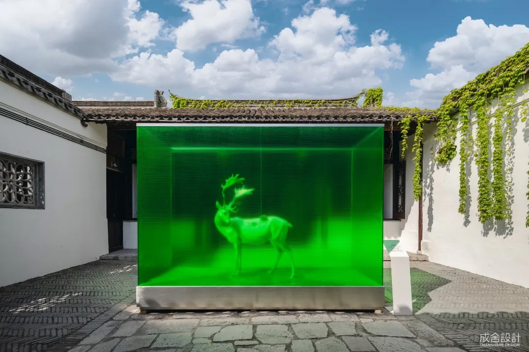 9051745801123977.jpg 7.jpg